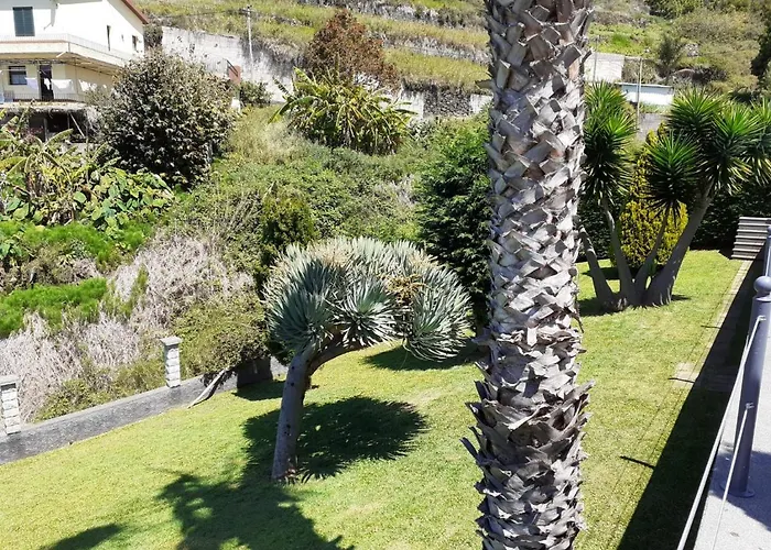 Quinta Do Brasil Camping